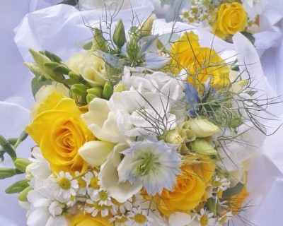 Yellow flowers - yellow roses - West Sussex