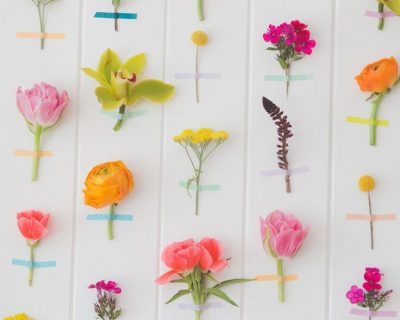 flower wall brighton sussex