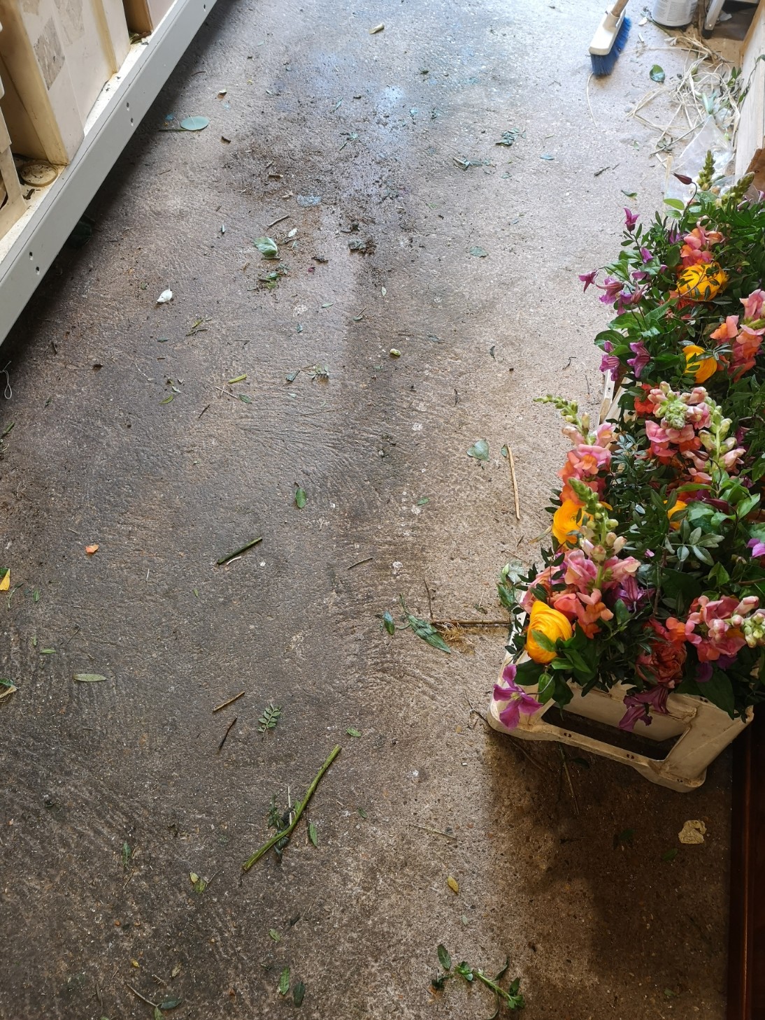 tidy florist workshop