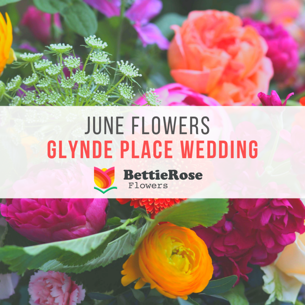 june wedding flowers at glynde place sussex blog post
