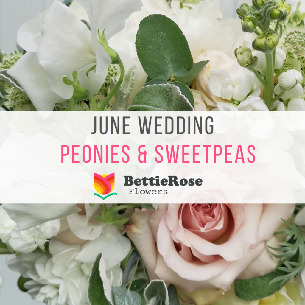 peonies, sweet peas and quicksand roses at Alexander House, East Sussex