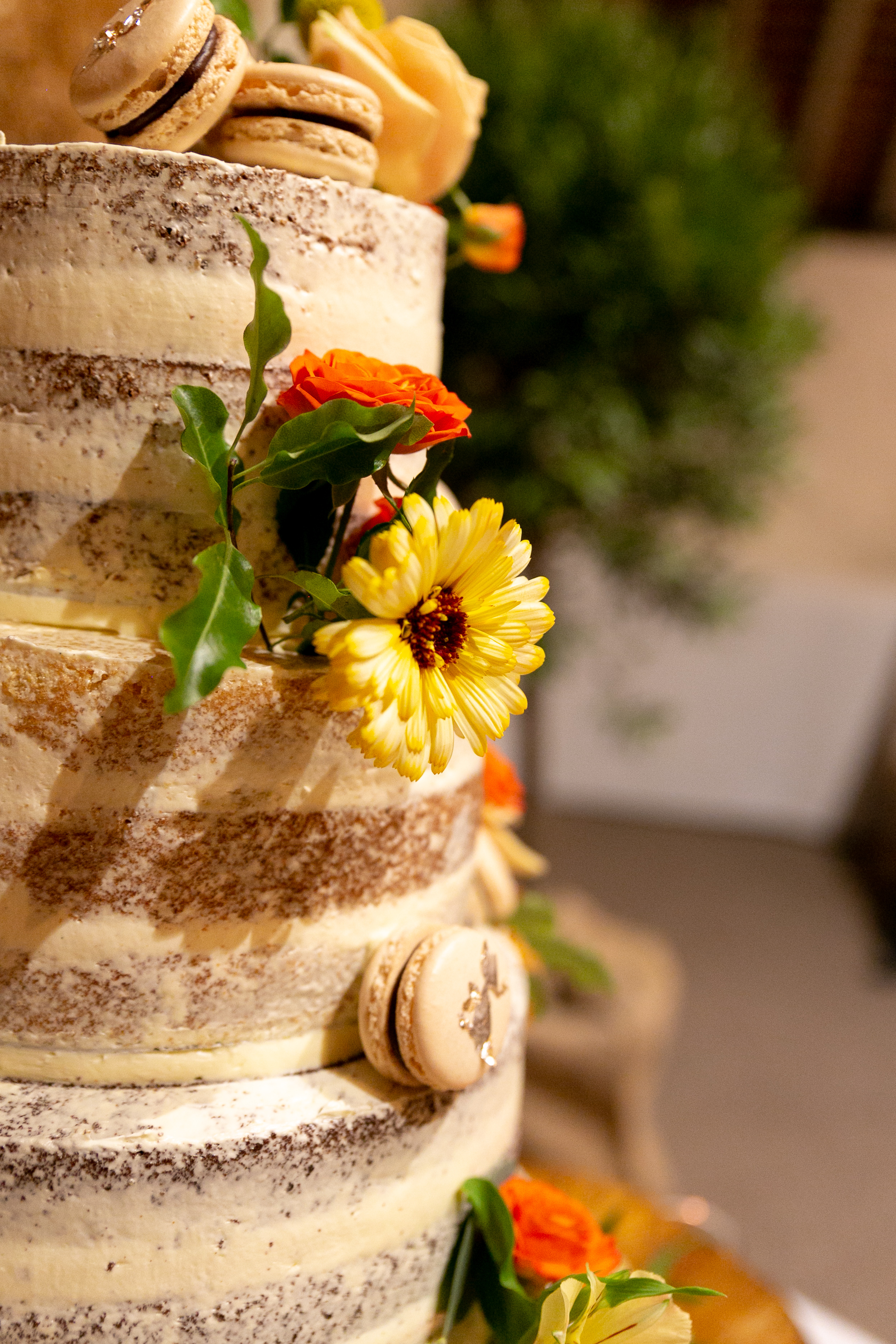 sussex grown cake flowers