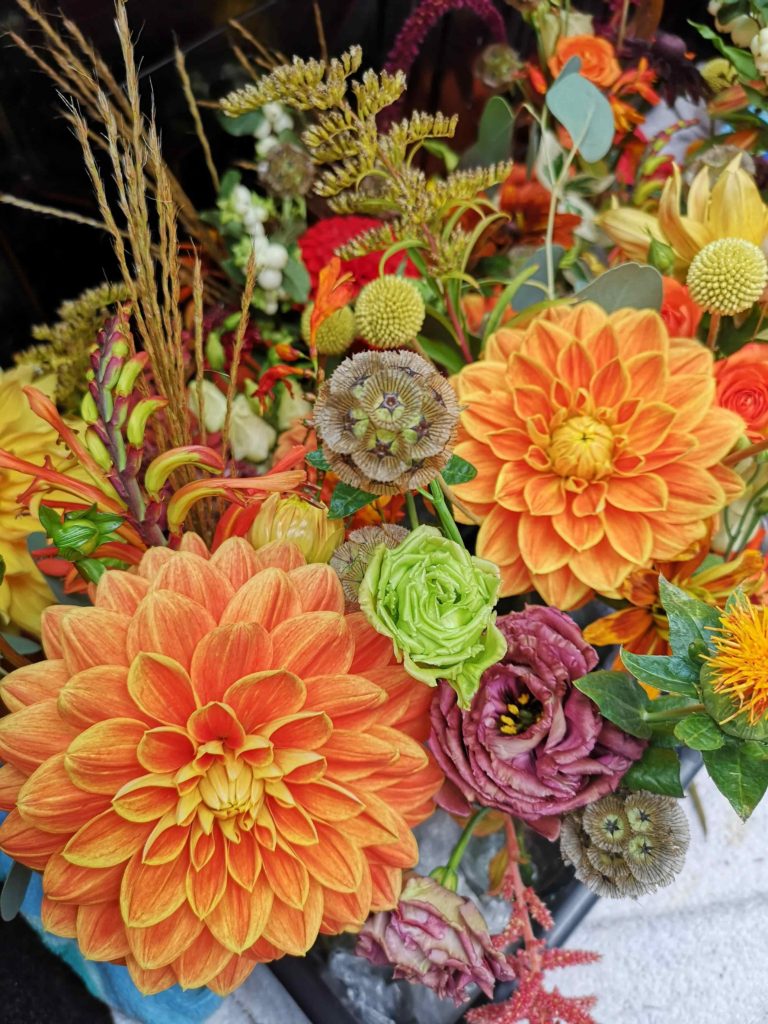 Sussex grown autumn orange flowers at pangdean barn