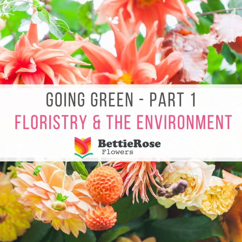 Floristry and the environment